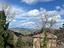 Immagine 7