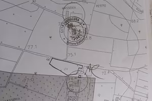 terreno agricolo