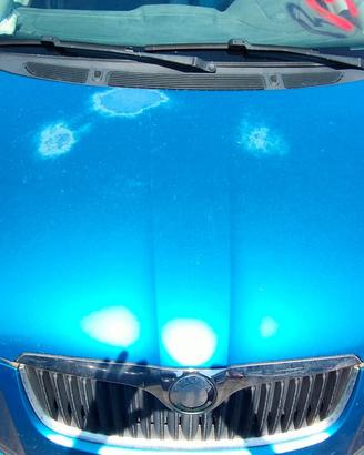 SKODA ROOMSTER 2006 COFANO ANTERIORE