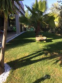 Villetta in C/da Mandrascate Enna