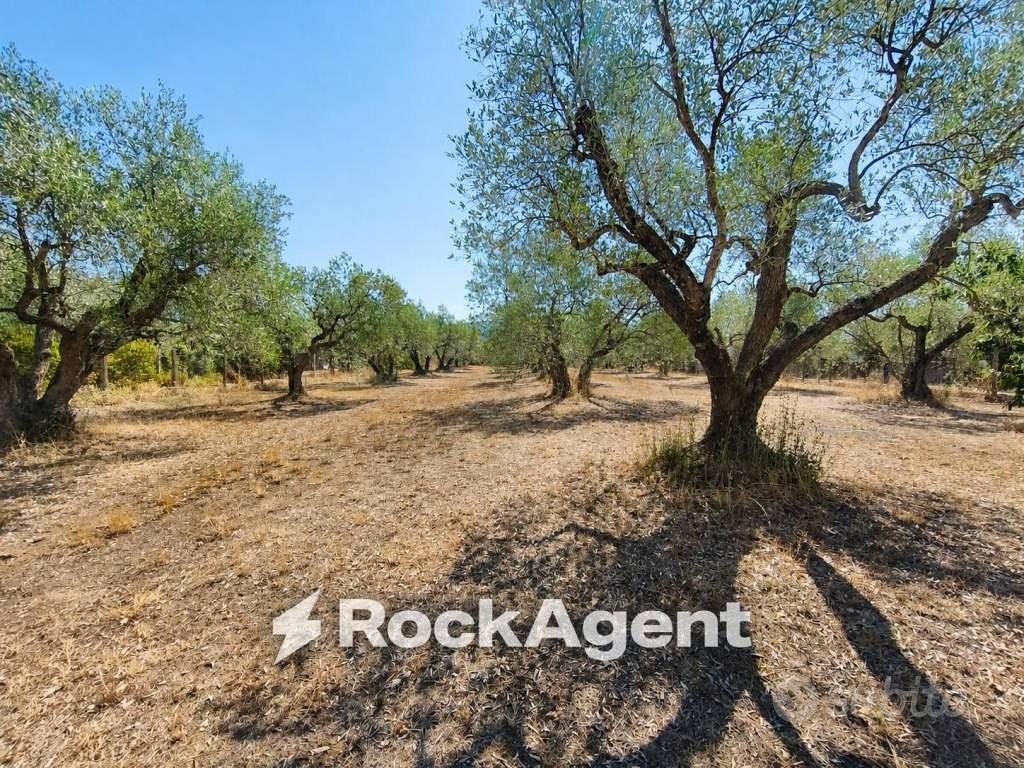 Terreno di 2980 m² a Viterbo - Vista 5