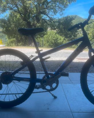 Bici tecnobike
