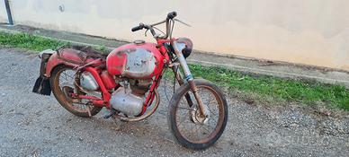 MV Agusta Altro modello - 1965