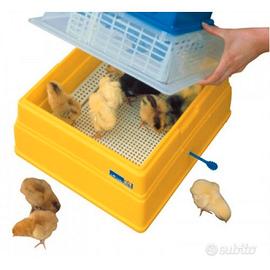 Incubatrice Novital Covatutto 24 Uova