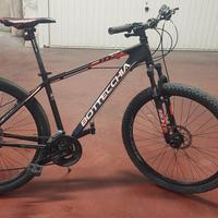 Bicicletta Bottecchia 
