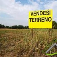 TERRENO AGRICOLO