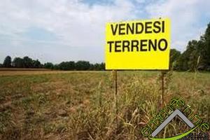 TERRENO AGRICOLO