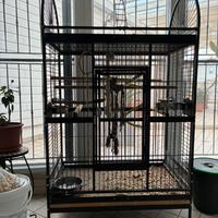 Gabbia voliera per pappagalli grandi