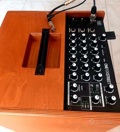 Cassa Amplificata Acus,  x Chitarra. 