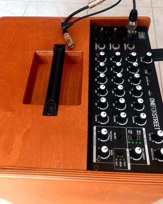 Cassa Amplificata Acus,  x Chitarra. 