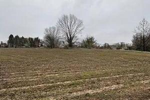 Immobile in asta di 35262 m² a Morgano