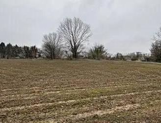 Immobile in asta di 35262 m² a Morgano