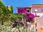 Immagine 27