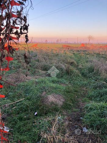 TER. AGRICOLO A ROMANO DI LOMBARDIA