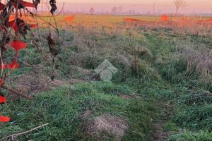 TER. AGRICOLO A ROMANO DI LOMBARDIA