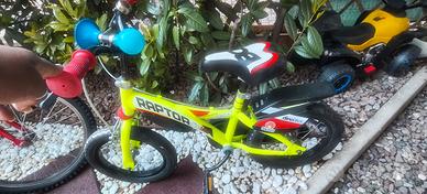 bicicletta 