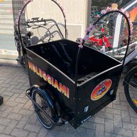 Bici elettrica Cargo Bike