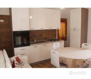 Girasole a 100m dal mare nel Salento