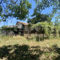 Rustico/Casale/Corte Manziana [MA220VRG]