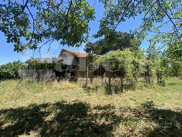 Rustico/Casale/Corte Manziana [MA220VRG]