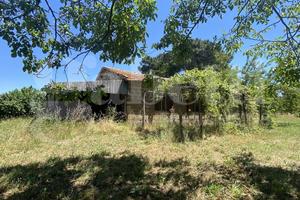 Rustico/Casale/Corte Manziana [MA220VRG]