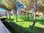 Immagine 29