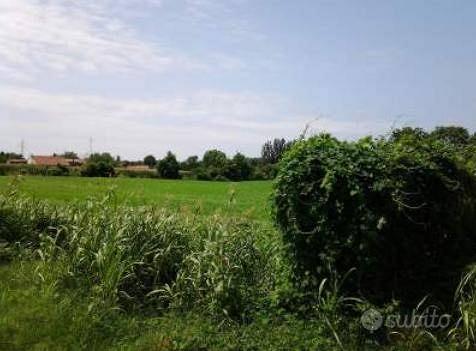 Immobile in asta di 2100 m² a Vigonovo - Vista 4