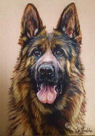 Ritratto di cane pastore tedesco german sheperd