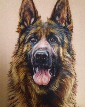 Ritratto di cane pastore tedesco german sheperd