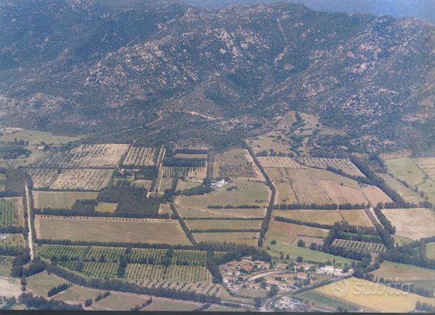 Terreni agricoli a 7 km da capo ferrato