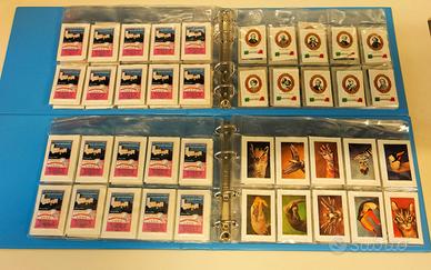 131 bustine di zucchero da collezione