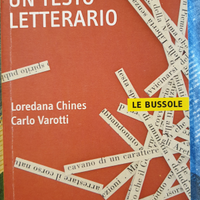 Che cos'è un testo letterario