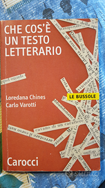 Che cos'è un testo letterario