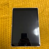 iPad 9ª Generazione 64 GB – Pari al Nuovo