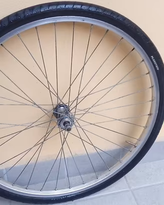 ruota bici mtb