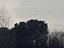Immagine 14
