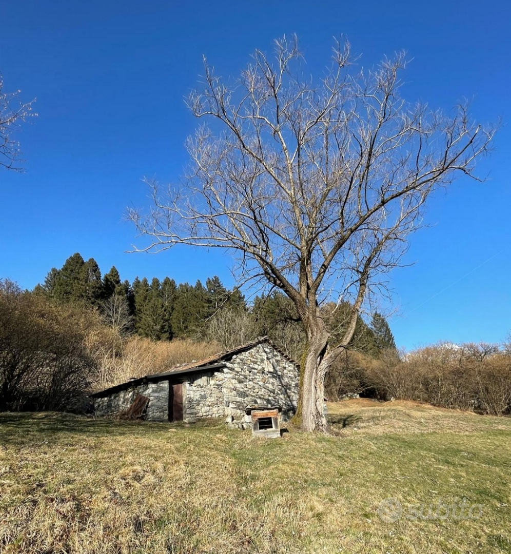 Cascina e terreni - Vista 3