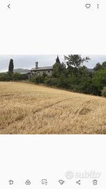 Moncalieri revigliasco