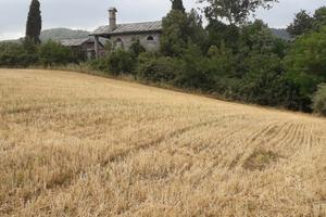 Moncalieri revigliasco