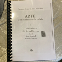 Manuale Arte. Una storia naturale e civile