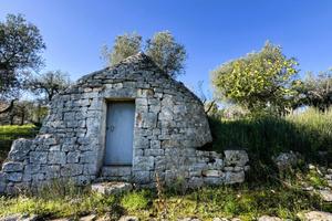 CASA DI CORTE A MONOPOLI