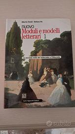 Libro di letteratura italiana