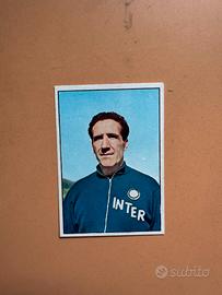 Figurina valida panini Helenio Herrera 65/66
