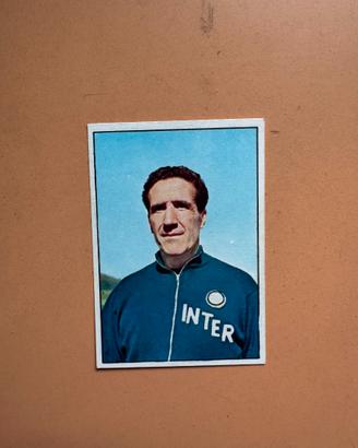 Figurina valida panini Helenio Herrera 65/66