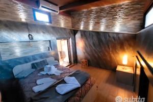 Loft mansardato all'università permuto