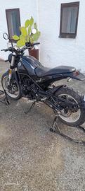 Benelli Leoncino 500 - 2022