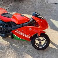 Minimoto da corsa elettrica