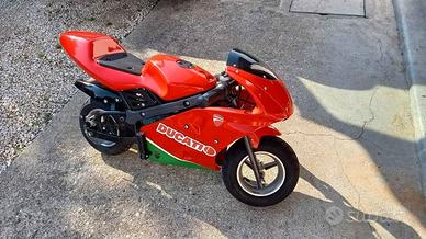 Minimoto da corsa elettrica