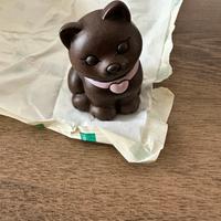 Gatto moro thun edizione limitata 2026