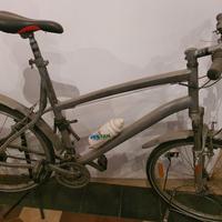 bici tgl XL cambio Shimano Tripla anteriore